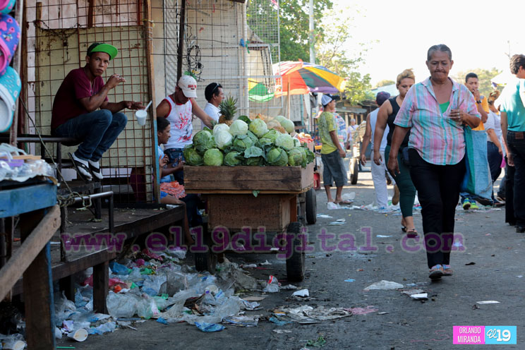 El complejo reto de la basura en el Oriental